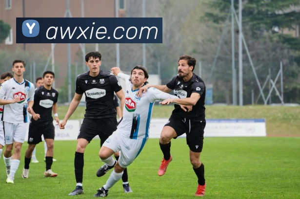 App Interface Preview